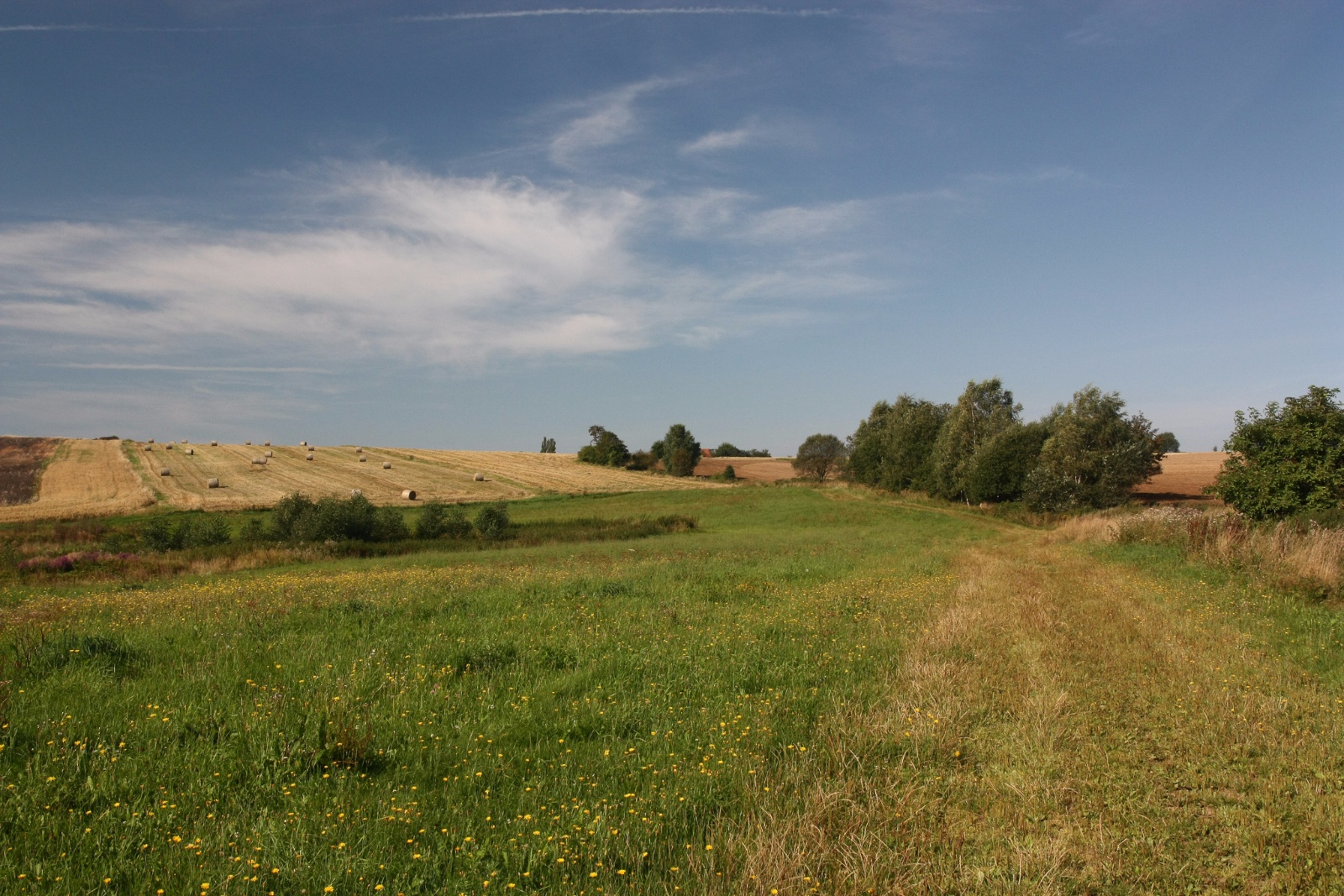 IMG 0847